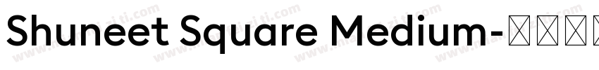 Shuneet Square Medium字体转换